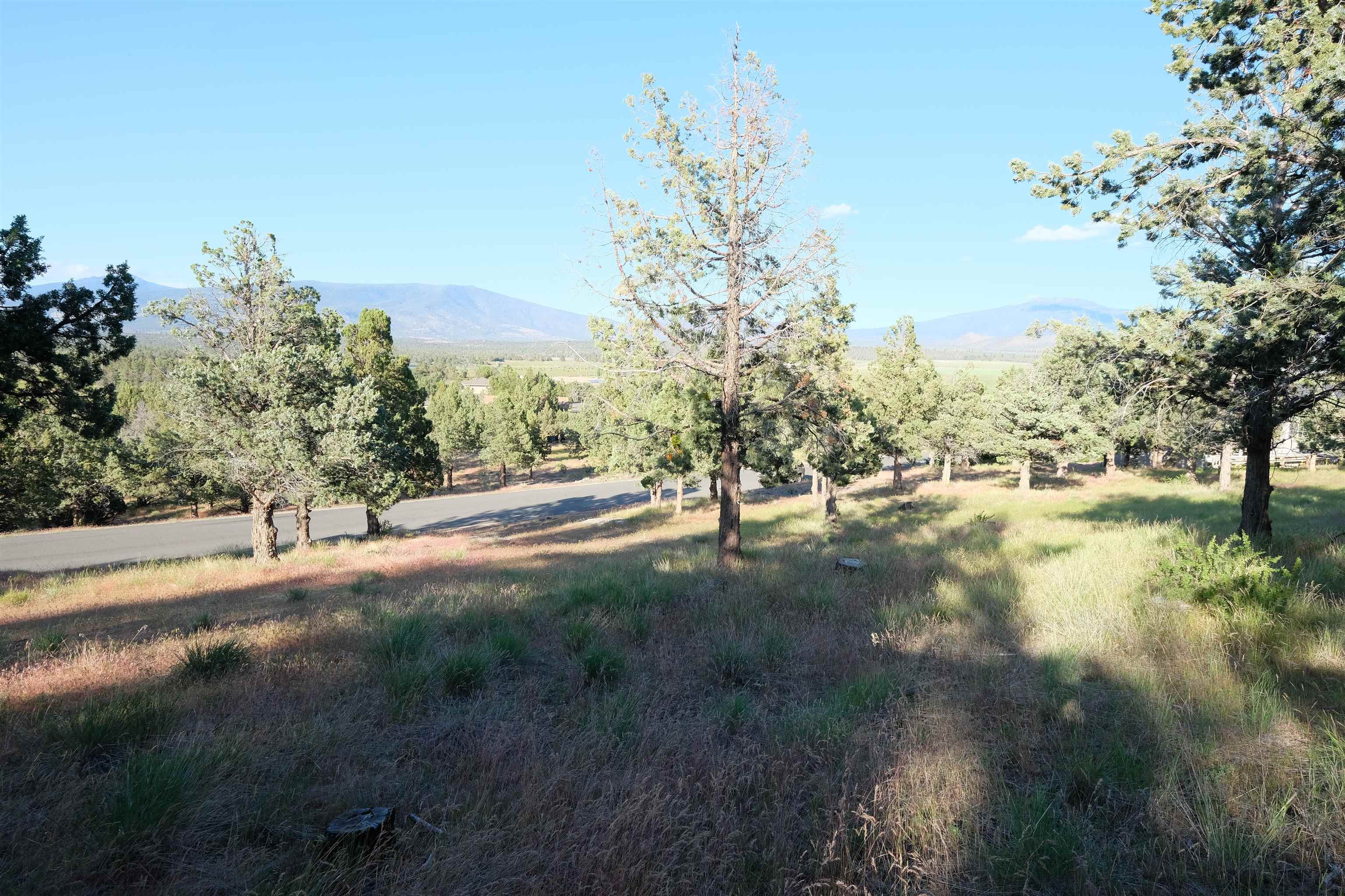 9-1 Unit Road Weed, CA 96094 - Photo 11 of 30 Gallery Image 11