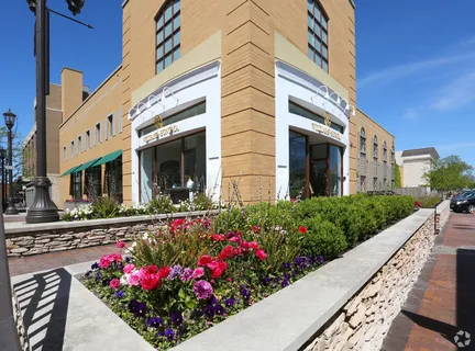 a view of a potted flower in front of a house