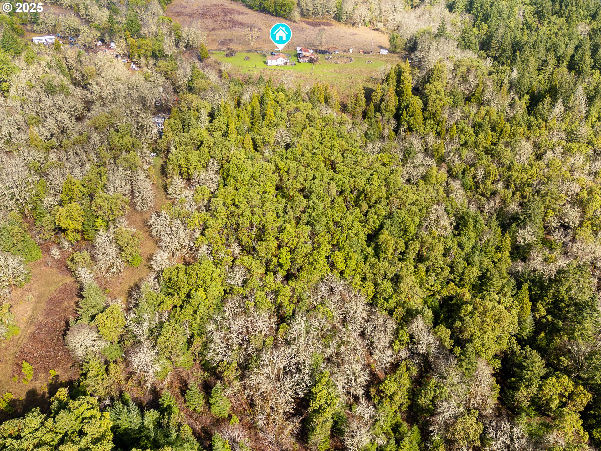 1230 Becker Road Roseburg, OR 97471 - Photo 16 of 18
