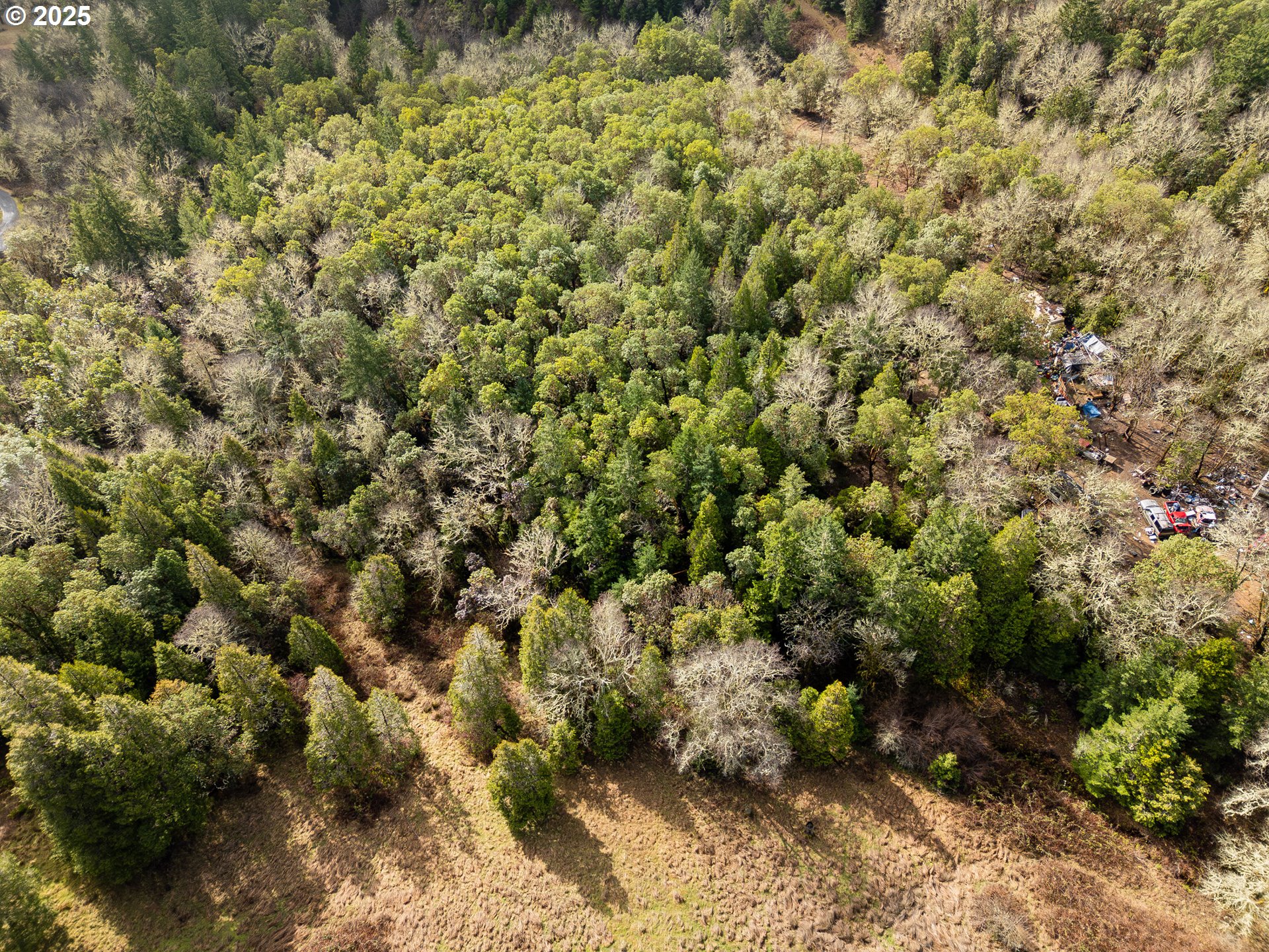1230 Becker Road Roseburg, OR 97471 - Photo 10 of 18