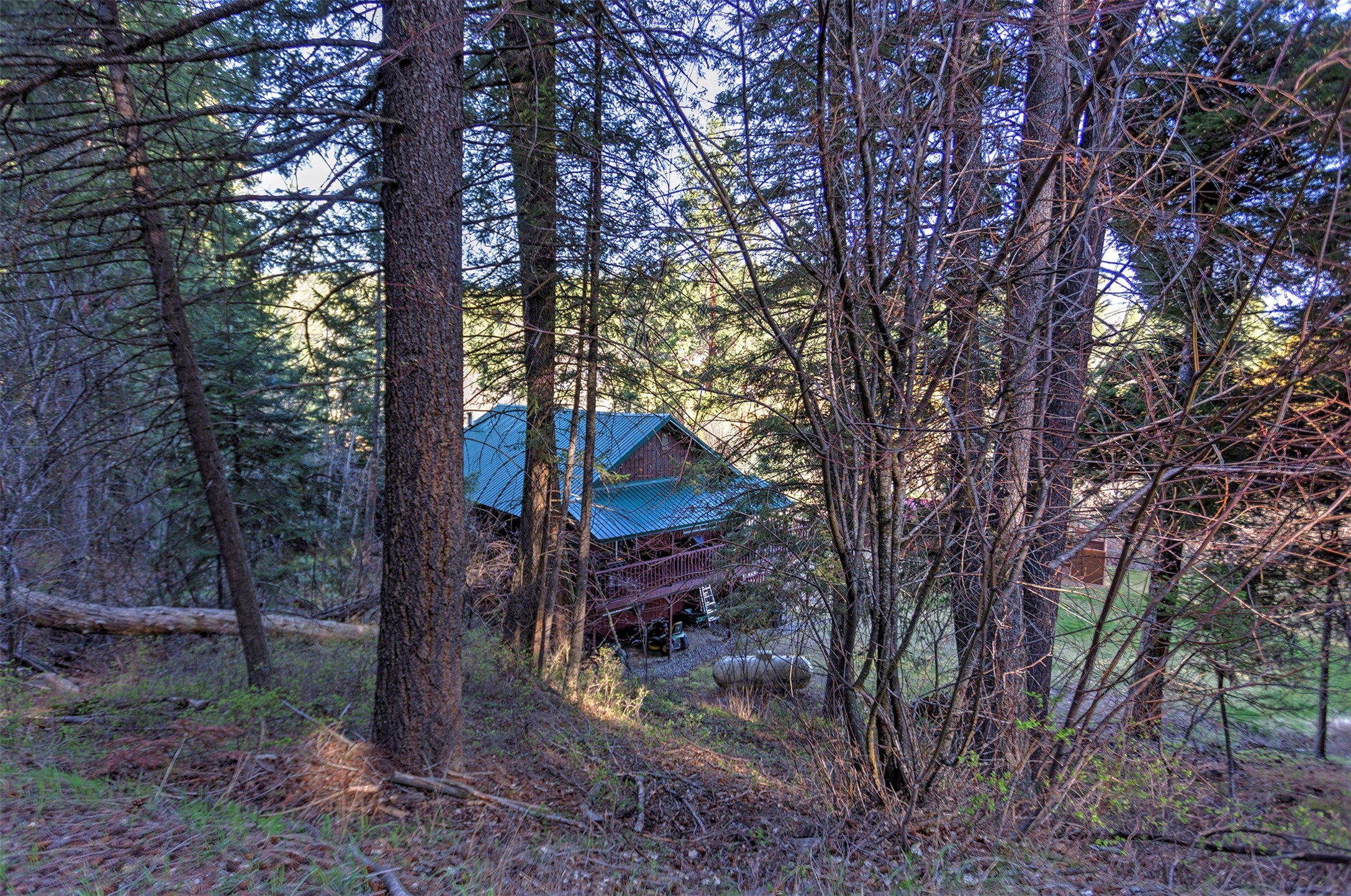 499 Bunkhouse Road Darby, MT 59829 - Photo 59 of 85 Gallery Image 59