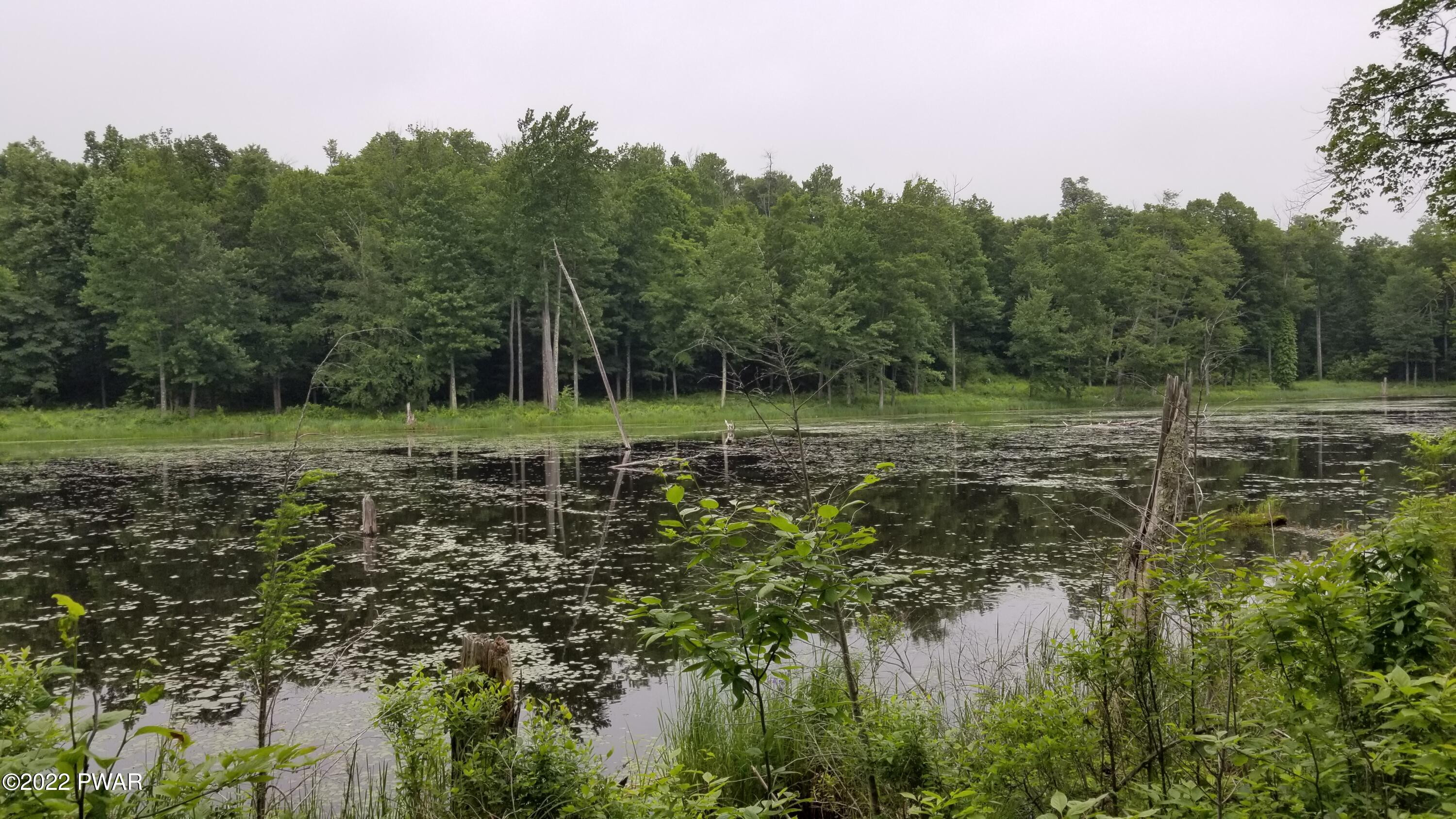 Lot 80 Stonegate Road Equinunk, PA 18417 - Photo 14 of 58
