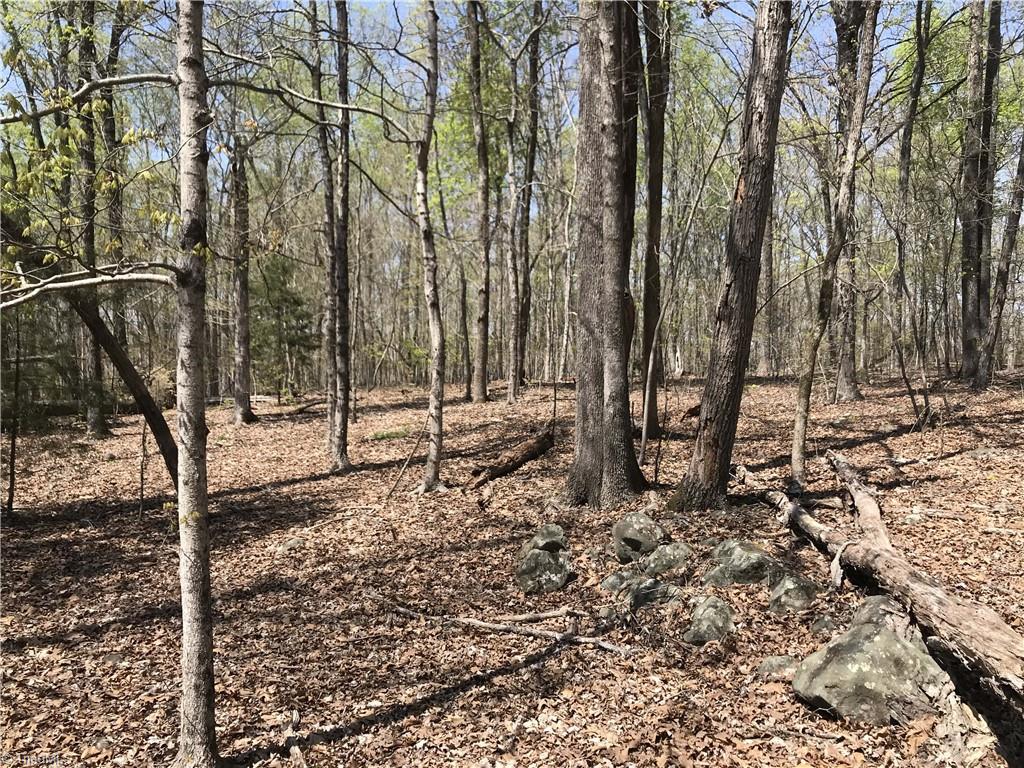 0 Chipper Trail Thomasville, NC 27360 - Photo 11 of 21