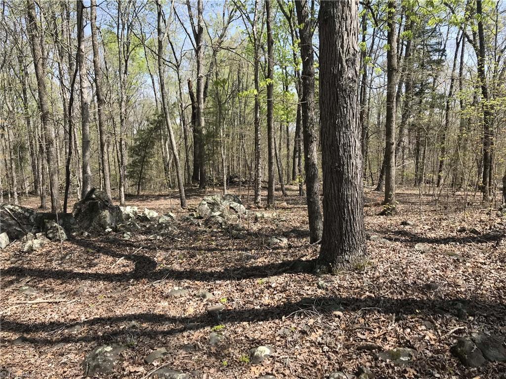 0 Chipper Trail Thomasville, NC 27360 - Photo 13 of 21