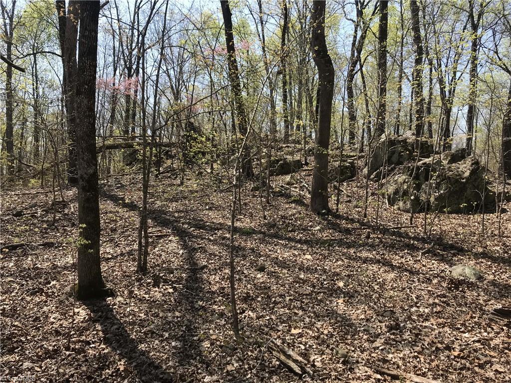 0 Chipper Trail Thomasville, NC 27360 - Photo 14 of 21