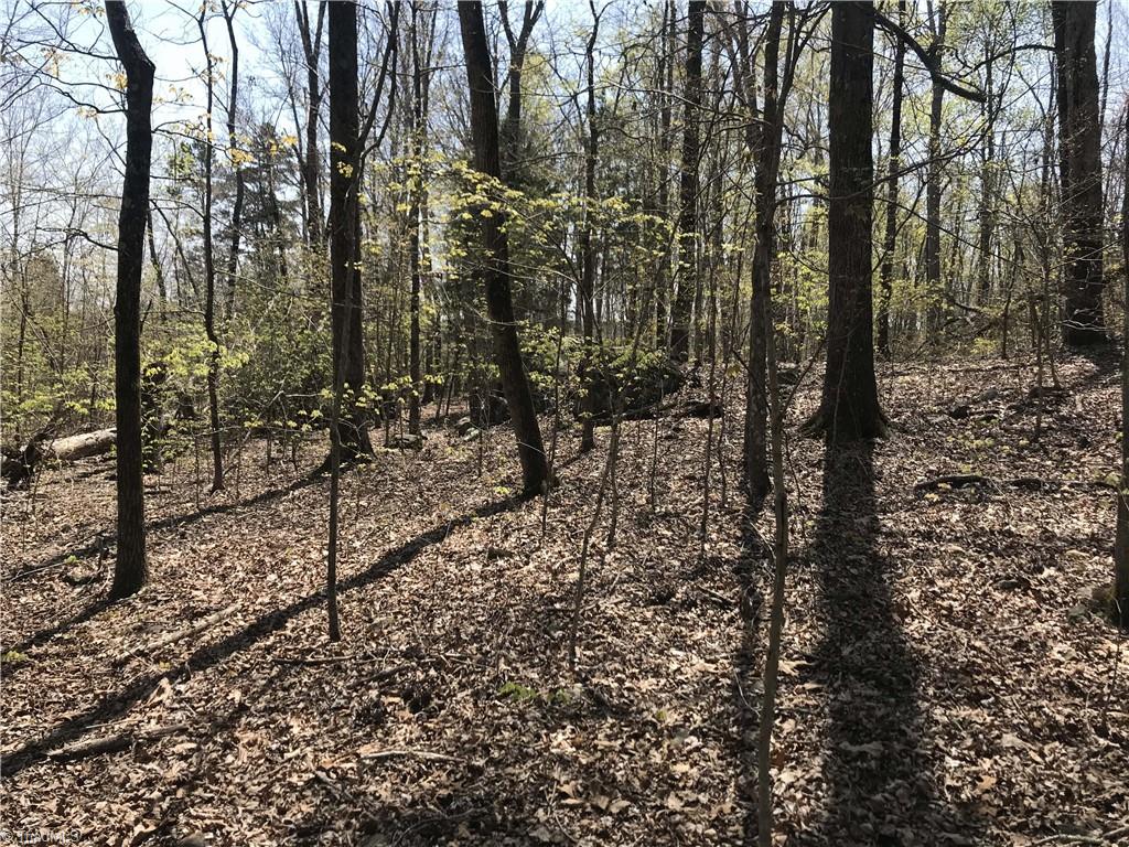 0 Chipper Trail Thomasville, NC 27360 - Photo 15 of 21