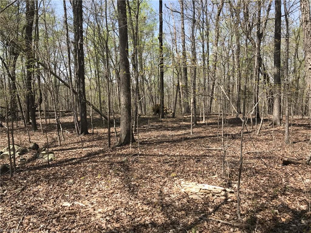 0 Chipper Trail Thomasville, NC 27360 - Photo 18 of 21