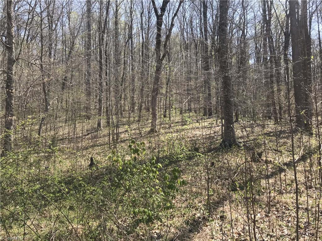 0 Chipper Trail Thomasville, NC 27360 - Photo 3 of 21