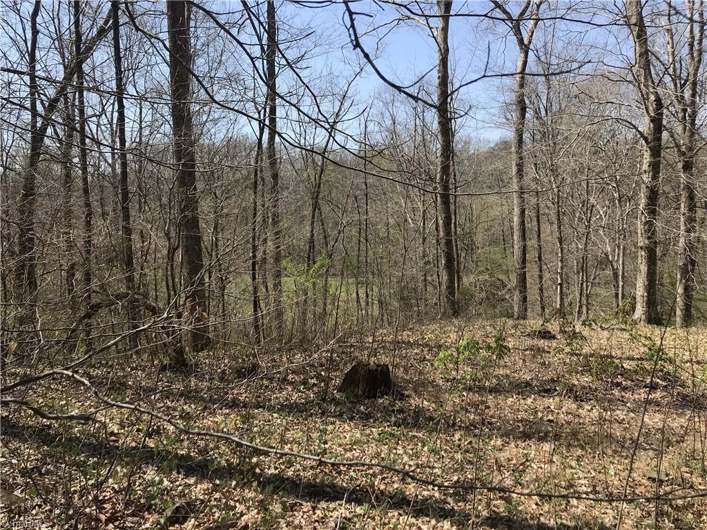 0 Chipper Trail Thomasville, NC 27360 - Photo 4 of 21