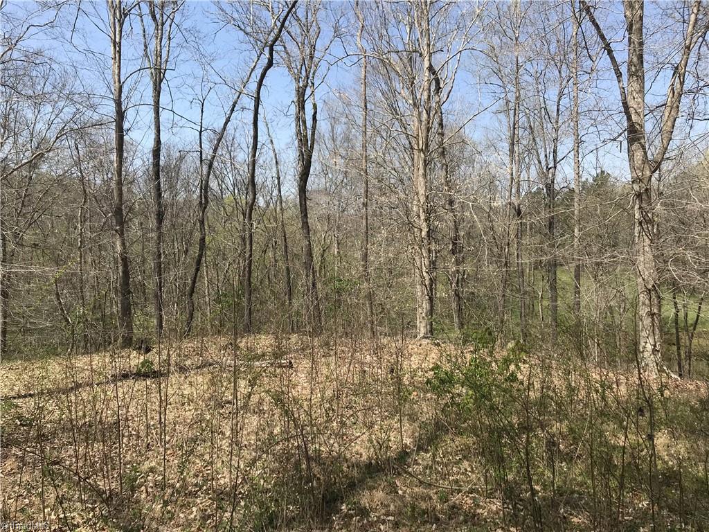 0 Chipper Trail Thomasville, NC 27360 - Photo 5 of 21