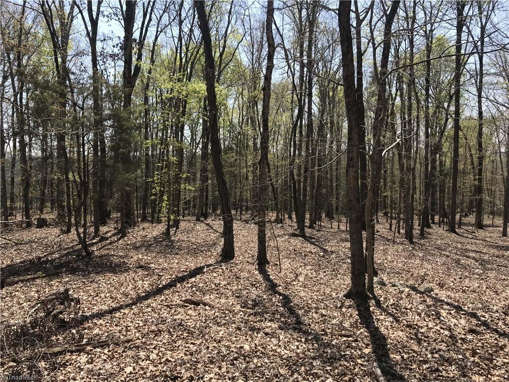0 Chipper Trail Thomasville, NC 27360 - Photo 10 of 21