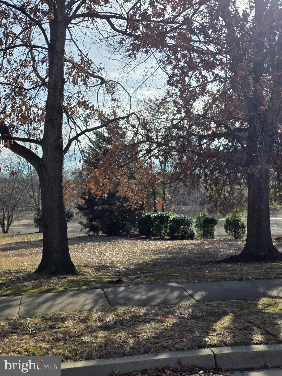 1104 Old Cannon Road Fort Washington, MD 20744 - Photo 4 of 32 a view of a yard with a tree