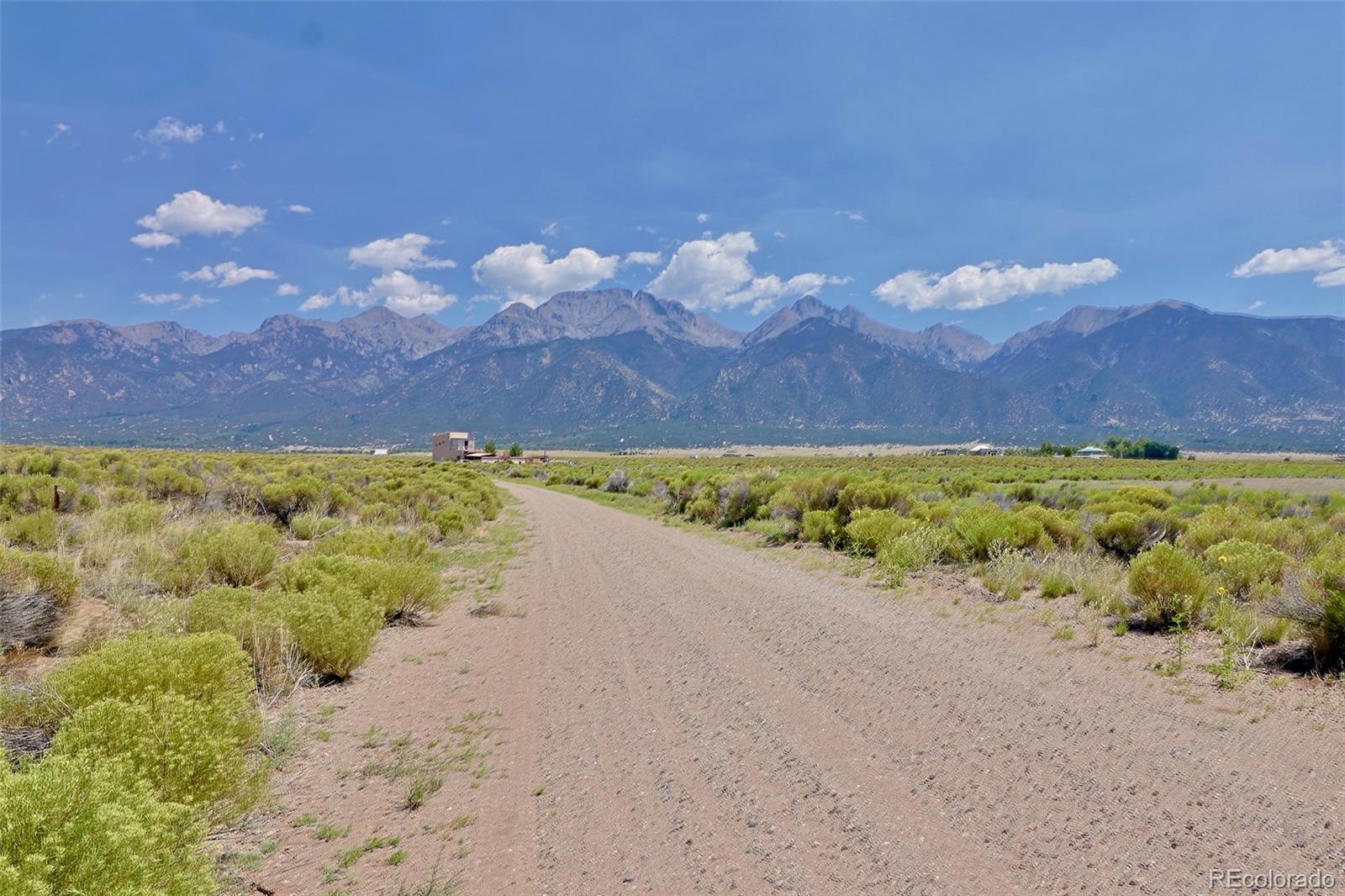 691 Birch Road Crestone, CO 81131 - Photo 15 of 16 a view of a bunch of flowers in a lot