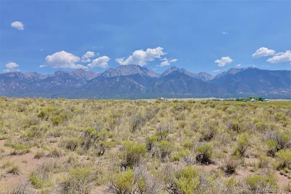 a view of a bunch of flowers in a yard