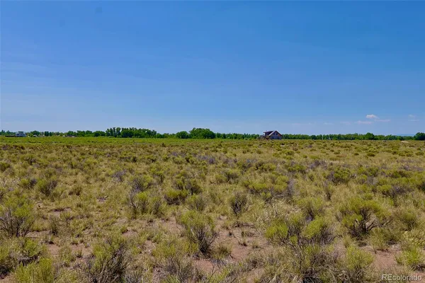 a view of a field with an ocean and trees