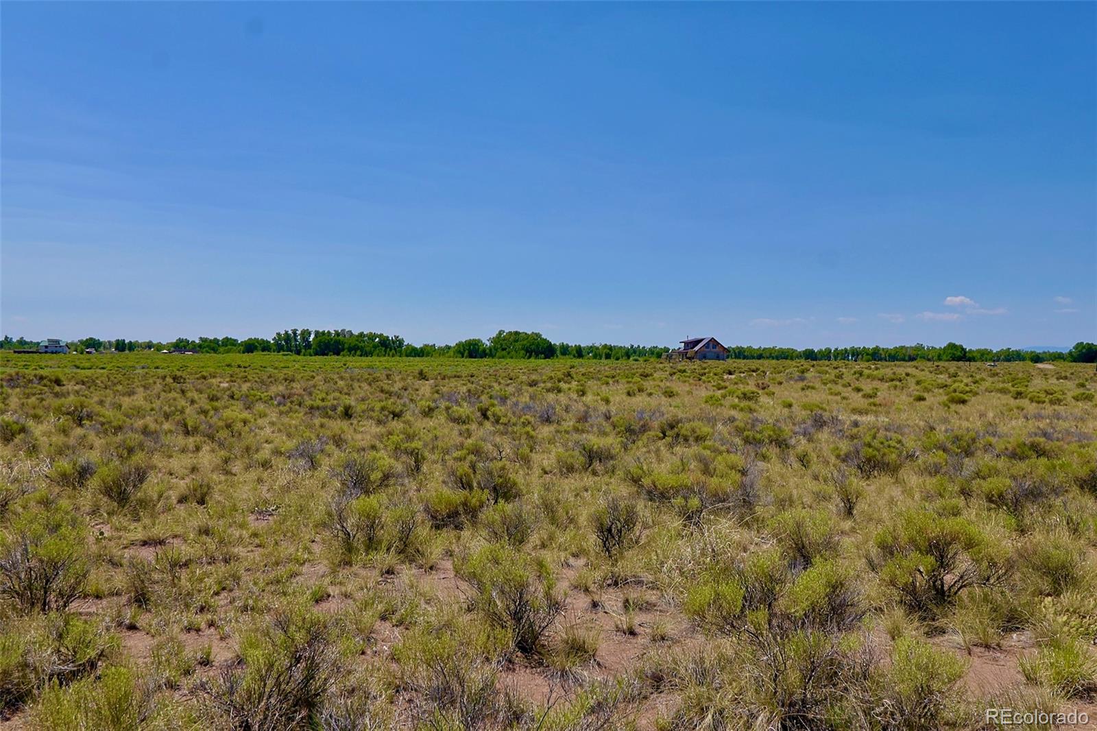 691 Birch Road Crestone, CO 81131 - Photo 7 of 16 a view of a field with an ocean and trees