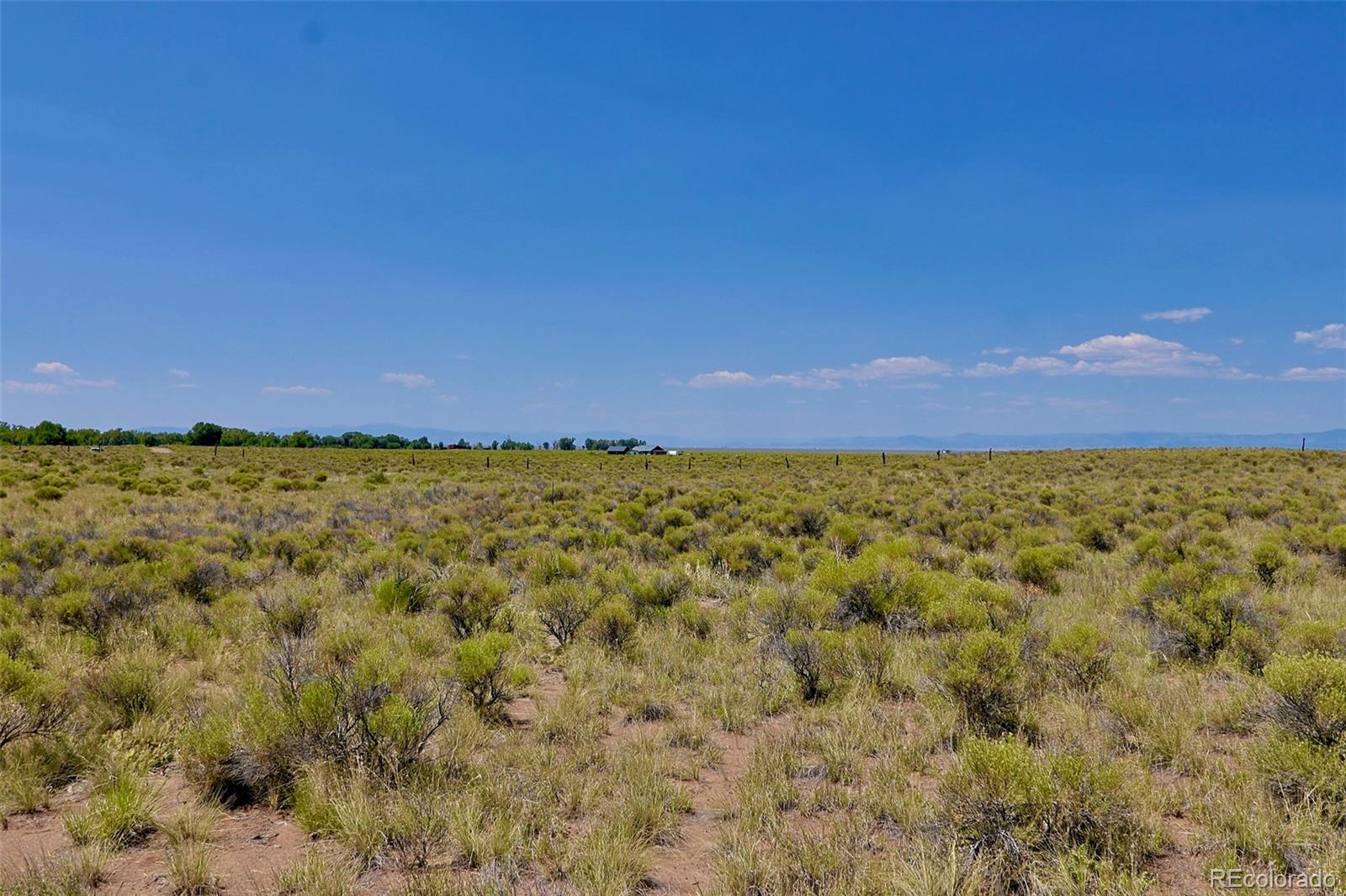 691 Birch Road Crestone, CO 81131 - Photo 8 of 16 a view of a large tree with outside space