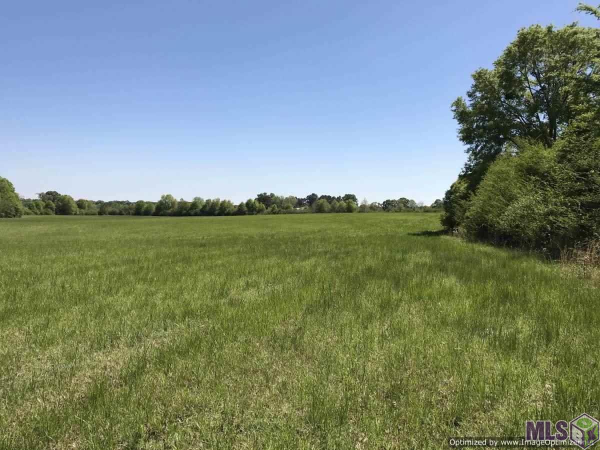 3121 D Bahalia Road Northeast Wesson, MS 39191 - Photo 5 of 25