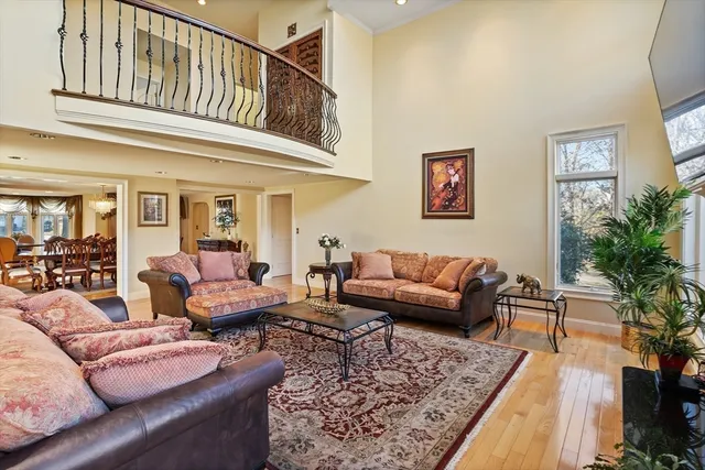 a living room with furniture or couch and a potted plant