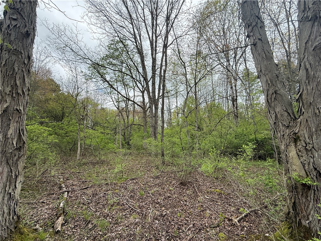 Caswell Road Freeville, NY 13068 - Photo 23 of 47