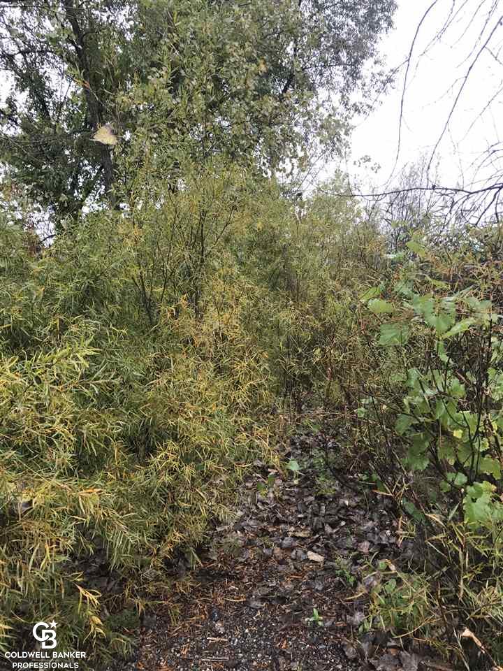 0 South Brockway Road Yale, MI 48097 - Photo 2 of 6
