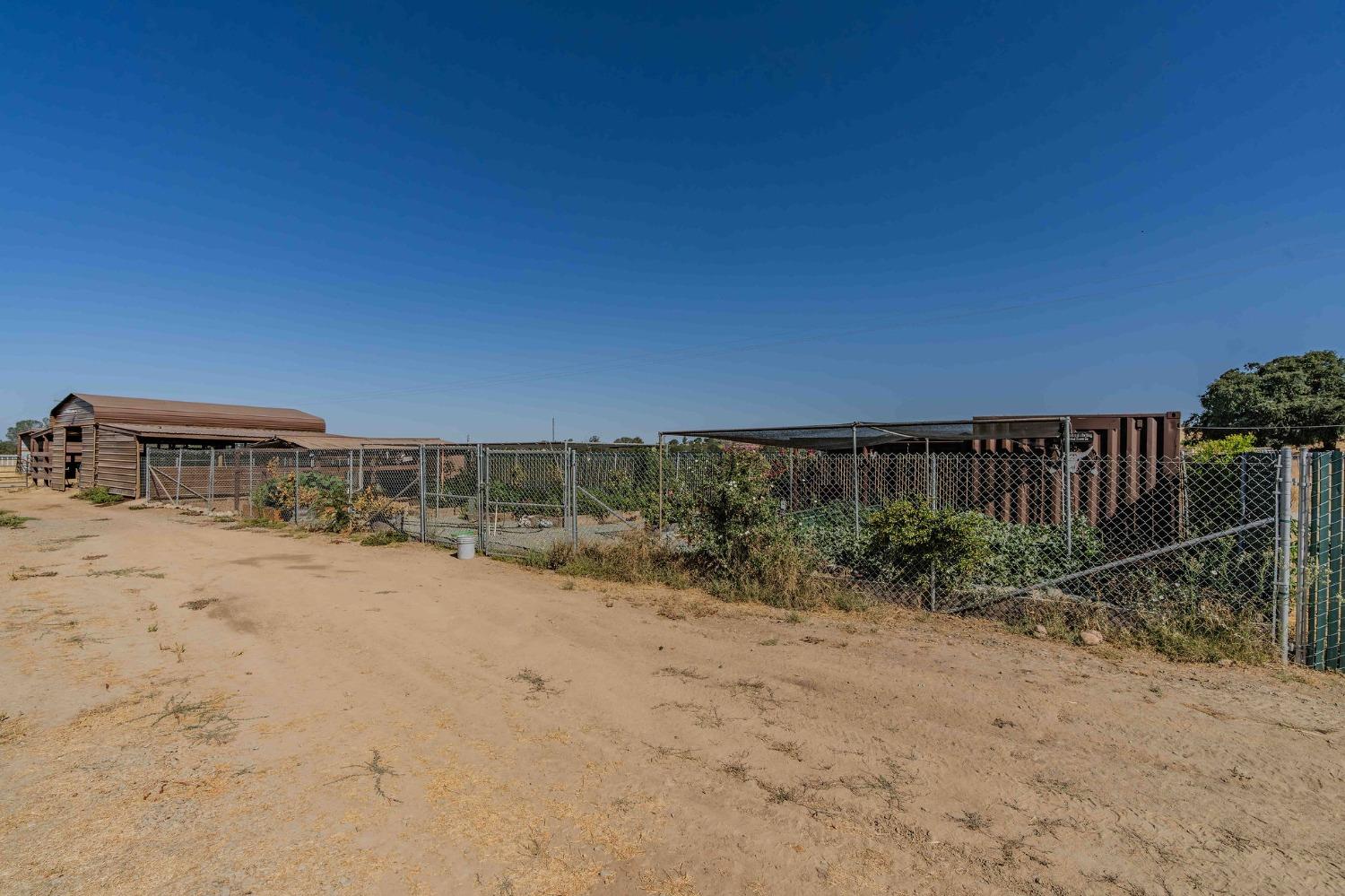 3585 South Burson Road Valley Springs, CA 95252 - Photo 18 of 99 a view of a dry yard