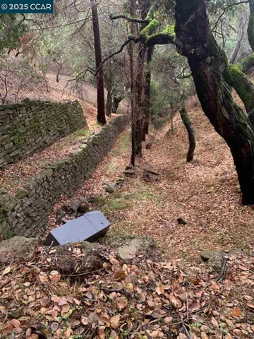 a backyard of a house with lots of trees