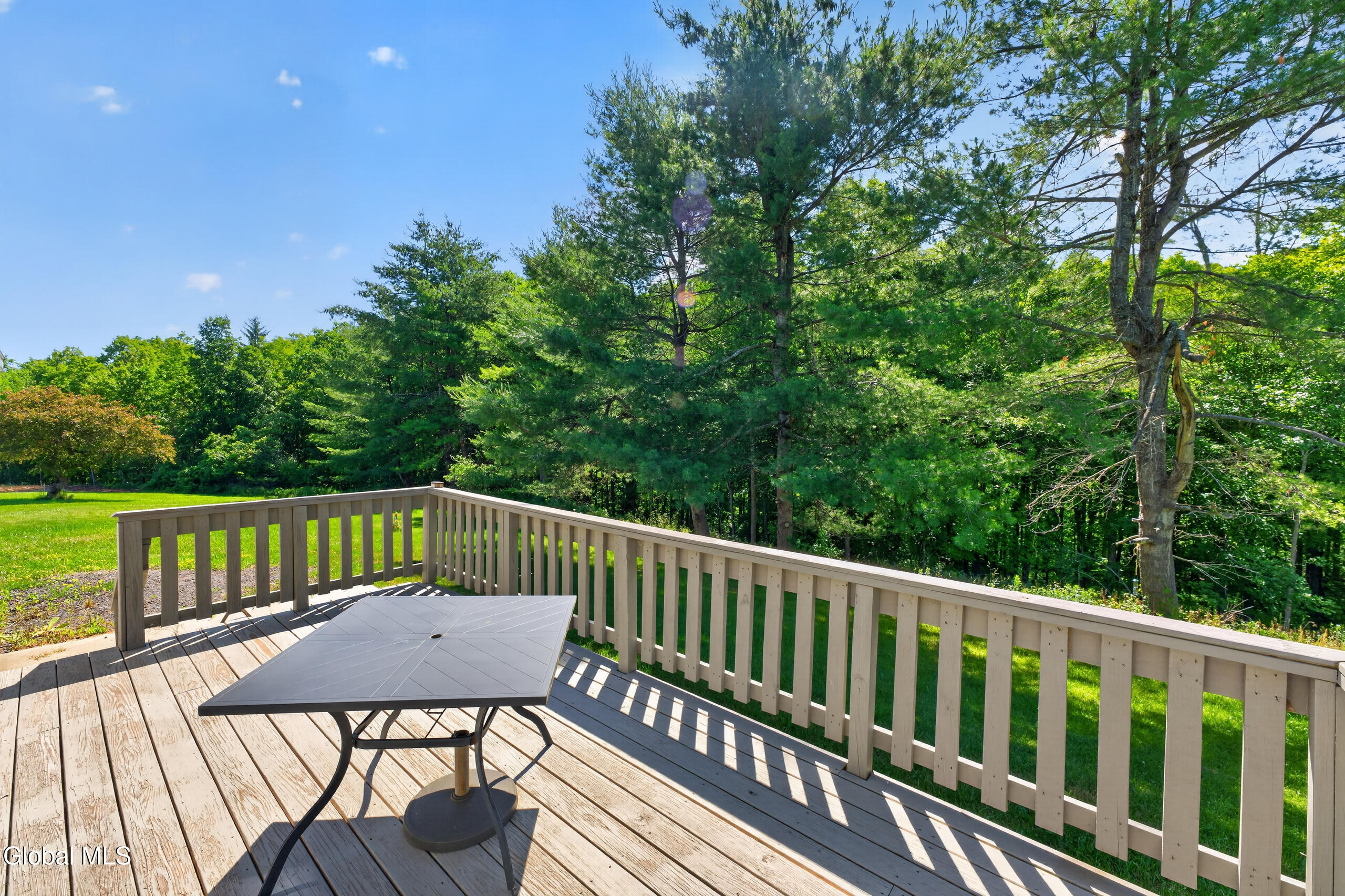 119 County Road 354 Rensselaerville, NY 12469 - Photo 26 of 35 Yard 8