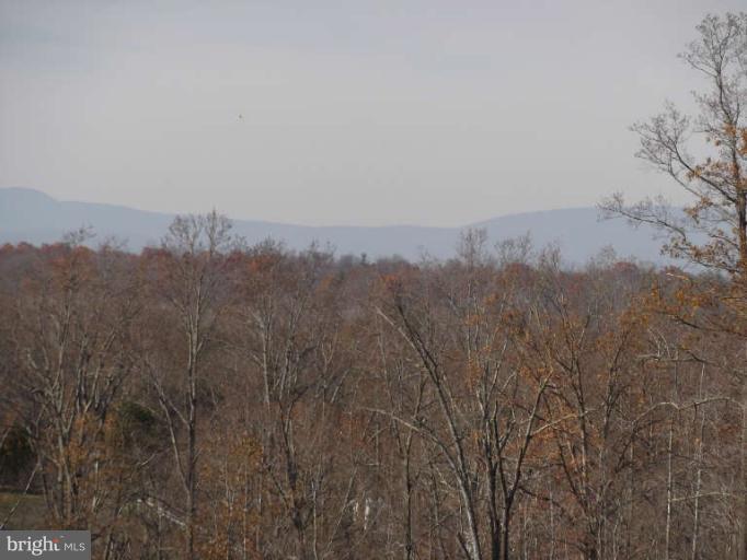 8344 Settle School Road Rixeyville, VA 22737 - Photo 3 of 30 a view of a city