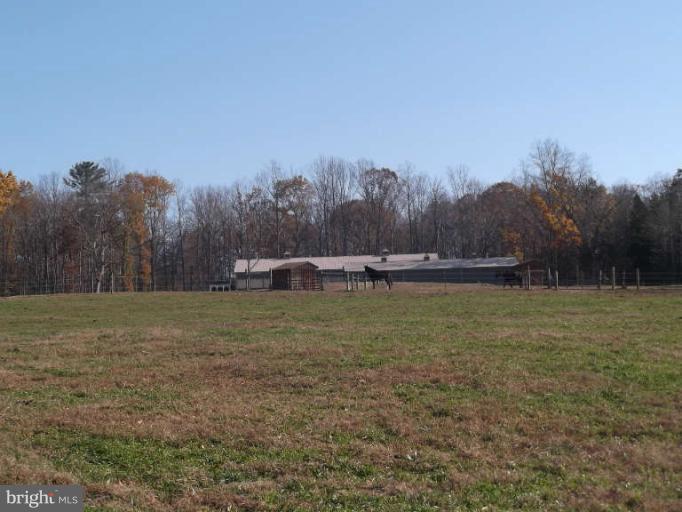 8344 Settle School Road Rixeyville, VA 22737 - Photo 6 of 30 a view of a field with trees in the background