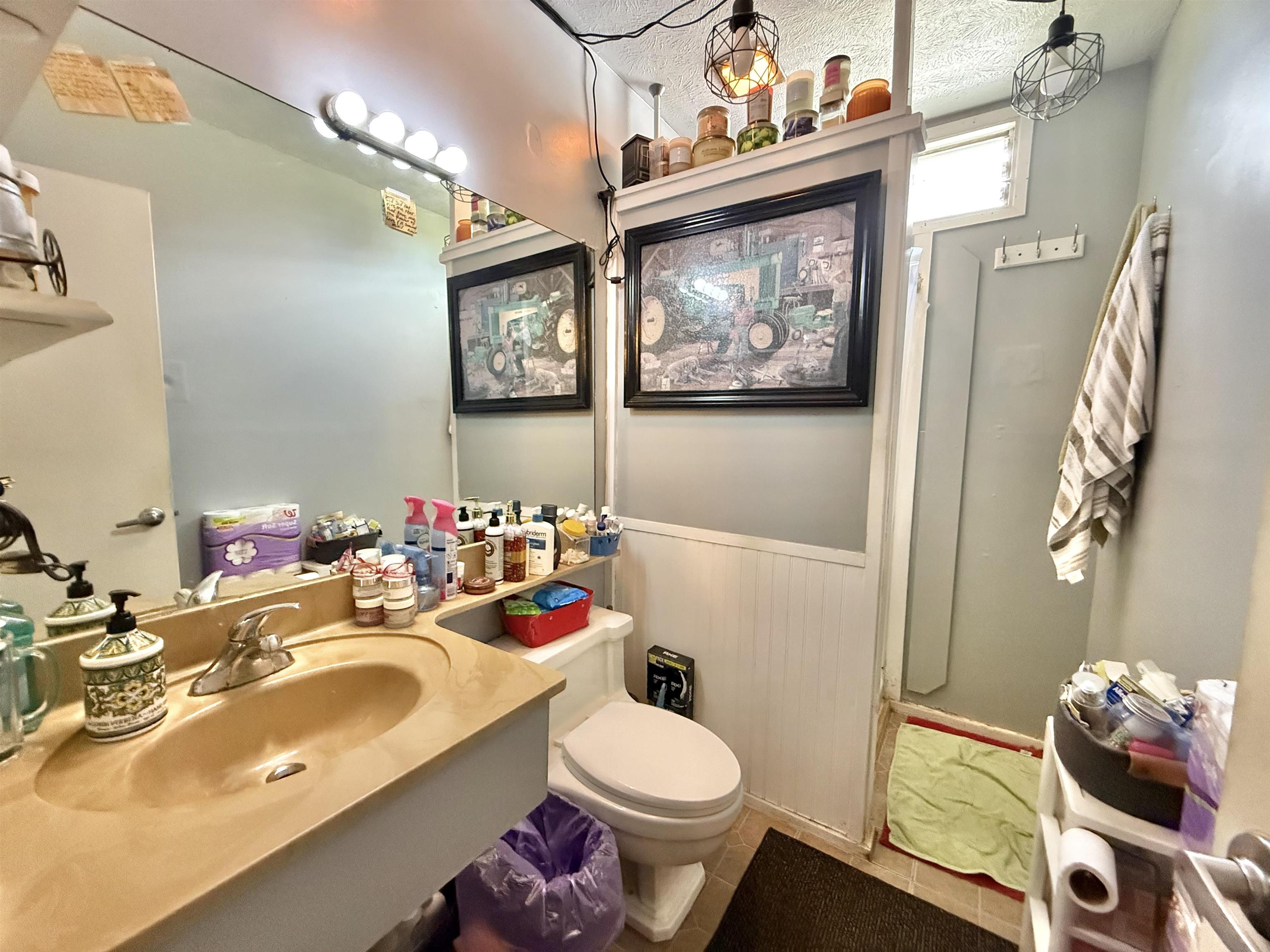 1630 Kauhikoa Road Haiku, HI 96708 - Photo 28 of 48 a bathroom with a sink mirror and toilet