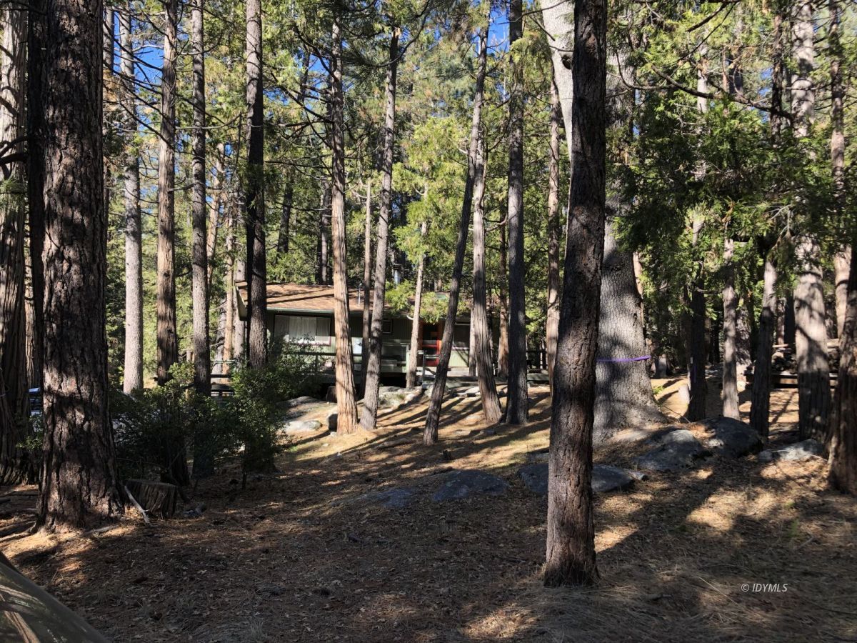 52572 Idyllmont Road Idyllwild, CA 92549 - Photo 1 of 13 a view of outdoor space yard and patio