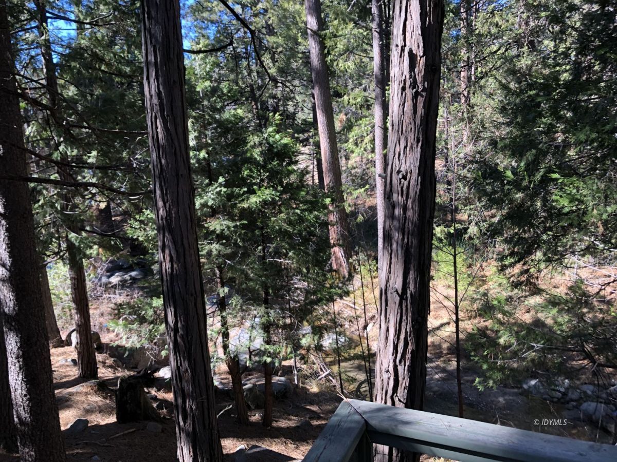 52572 Idyllmont Road Idyllwild, CA 92549 - Photo 12 of 13 a view of a forest from a tree