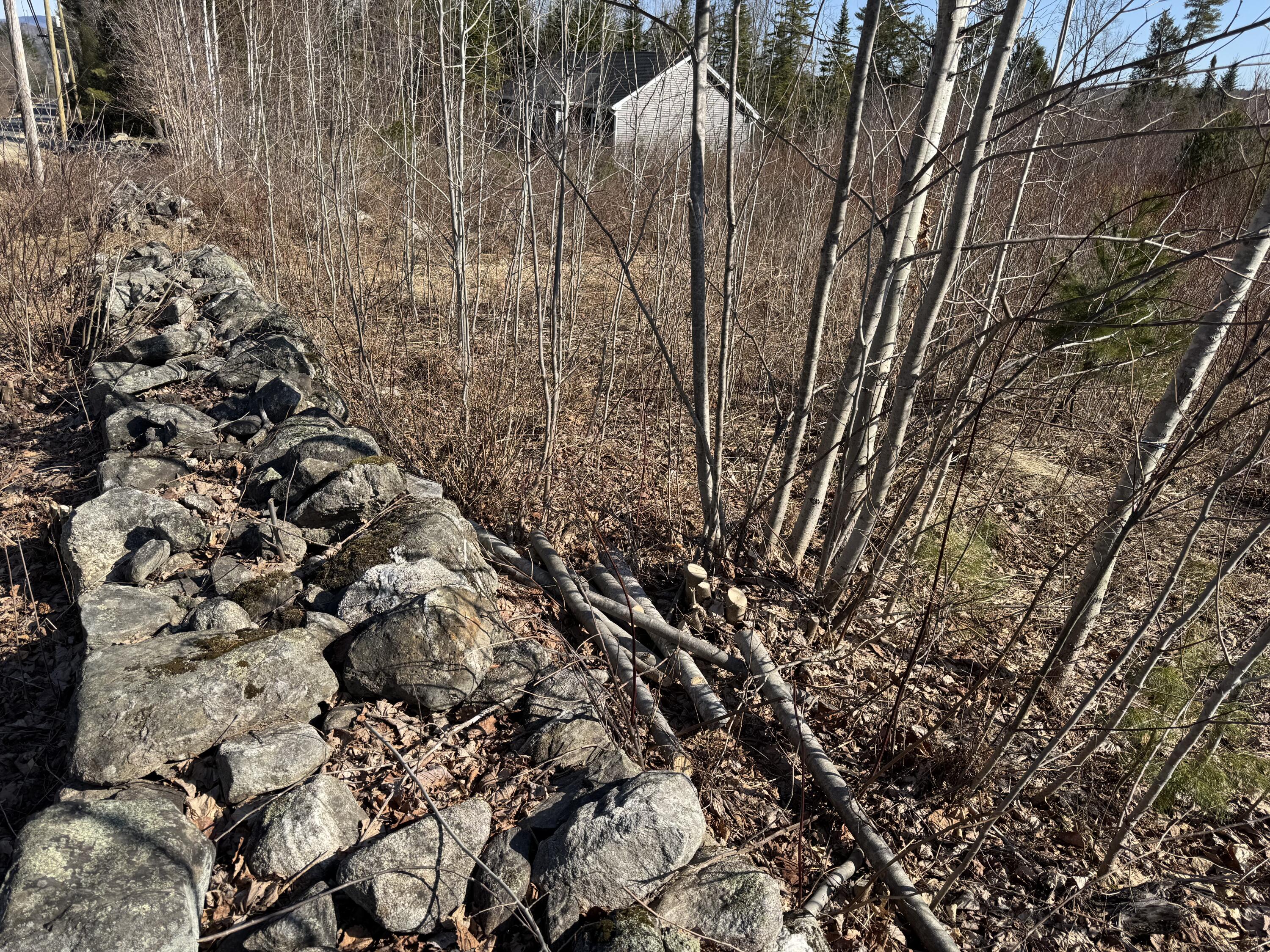 Lot 2 Paris Hill Road Paris, ME 04281 - Photo 13 of 15 IMG_0942