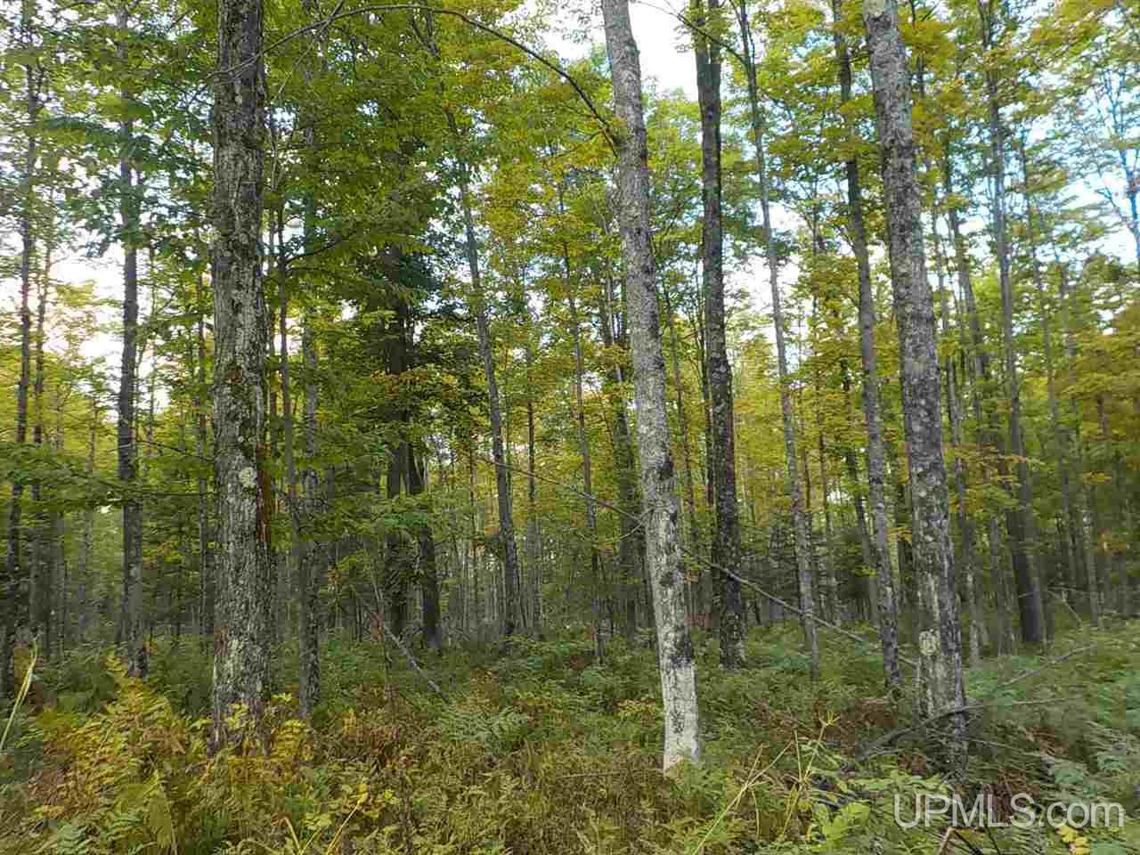 80-ac Mcclaren Road Crystal Falls, MI 49920 - Photo 18 of 27