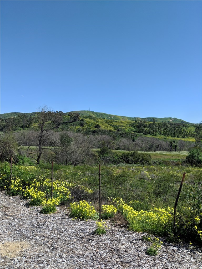 1902 Derby Drive North Tustin, CA 92705 - Photo 61 of 67 a view of a city with lush green forest
