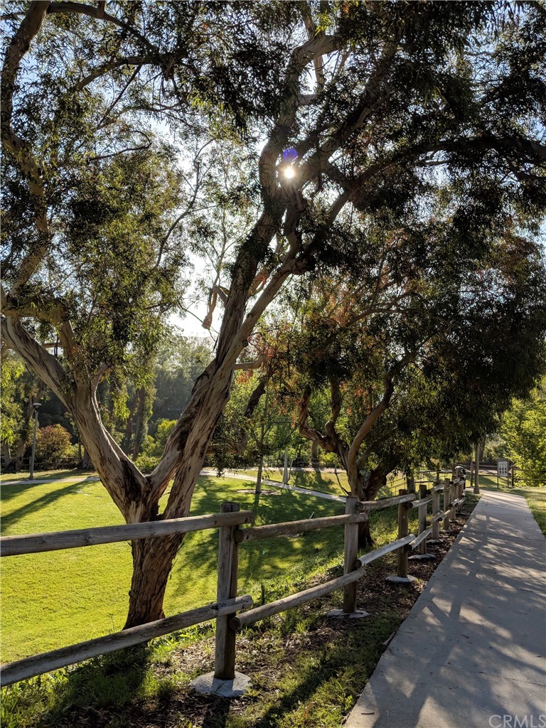 1902 Derby Drive North Tustin, CA 92705 - Photo 64 of 67 a view of a tree in a yard