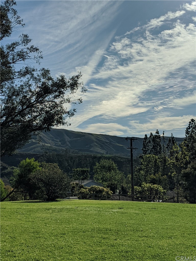 1902 Derby Drive North Tustin, CA 92705 - Photo 66 of 67 a view of a garden