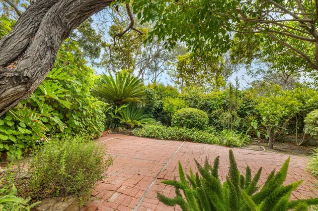 a view of a pathway both side of white house
