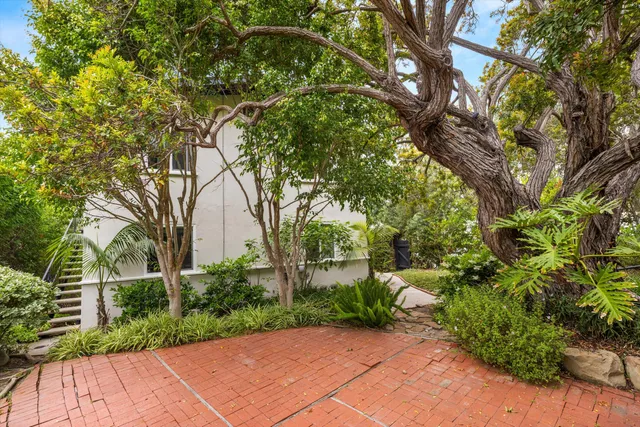a view of a garden with pathway