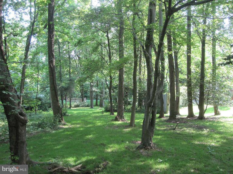 South Haven Road Annapolis, MD 21401 - Photo 12 of 14 View