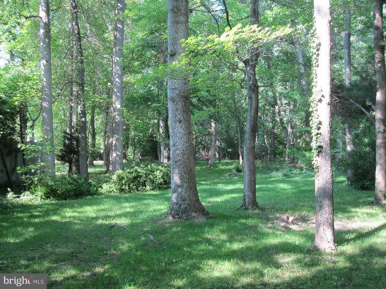 South Haven Road Annapolis, MD 21401 - Photo 5 of 14 View