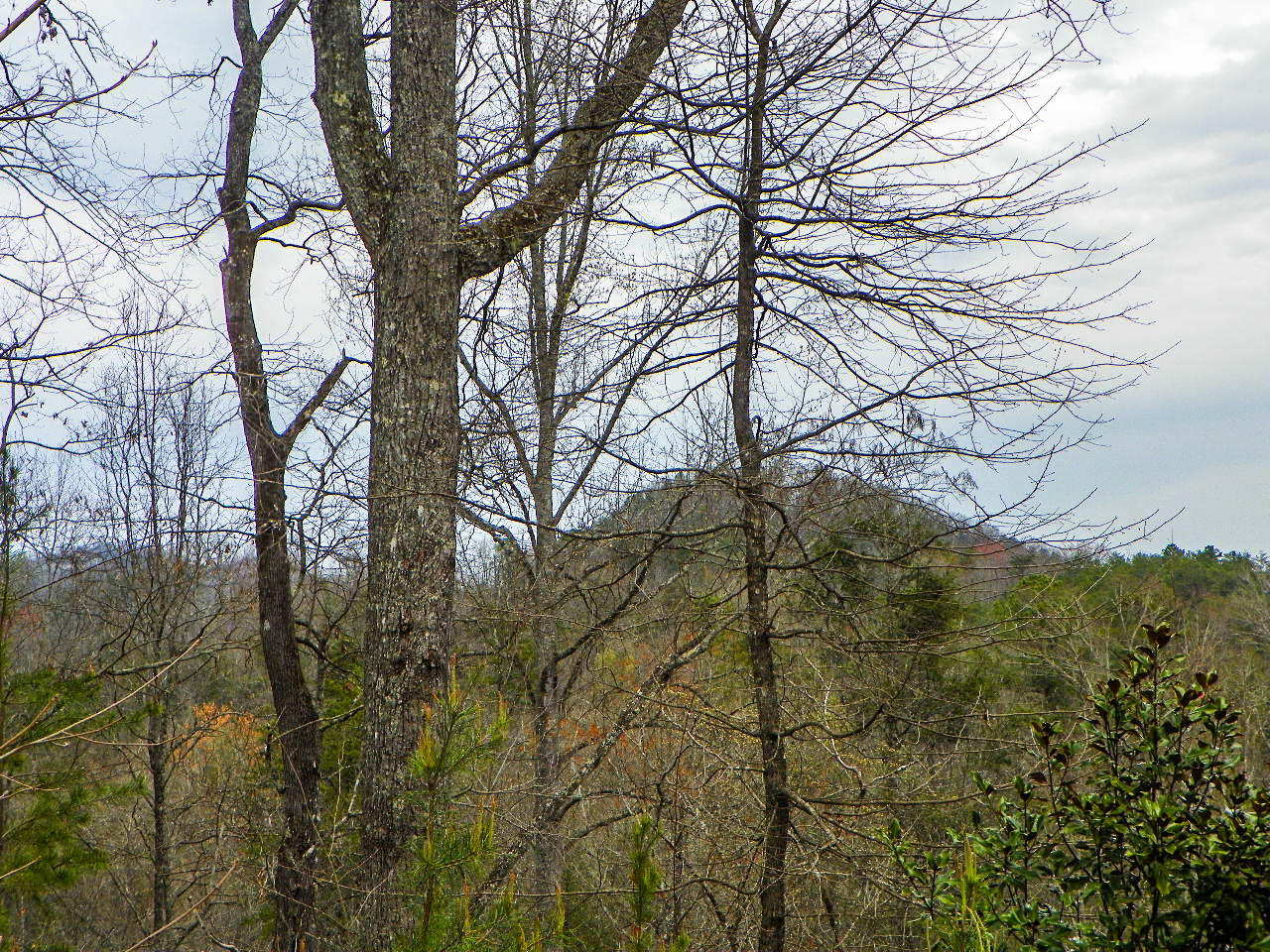 Lot#2 Shadyview Ridge Road Sevierville, TN 37876 - Photo 1 of 6 103_3256
