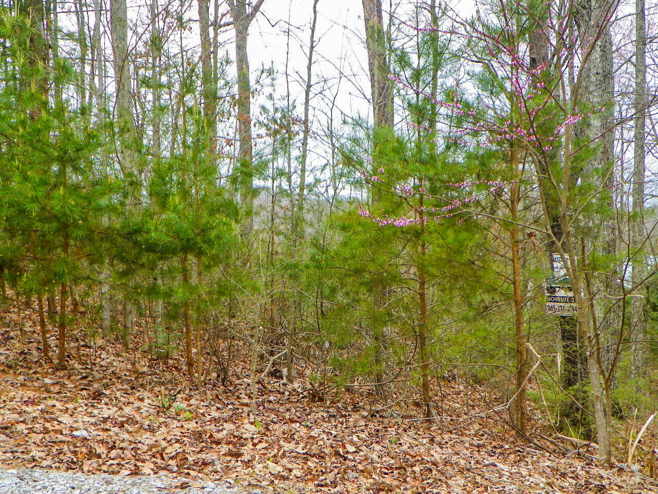 Lot#2 Shadyview Ridge Road Sevierville, TN 37876 - Photo 4 of 6 103_3255