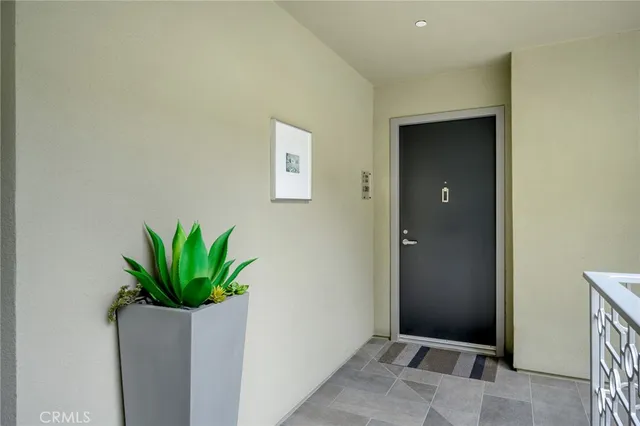 a potted plant sitting in a empty room