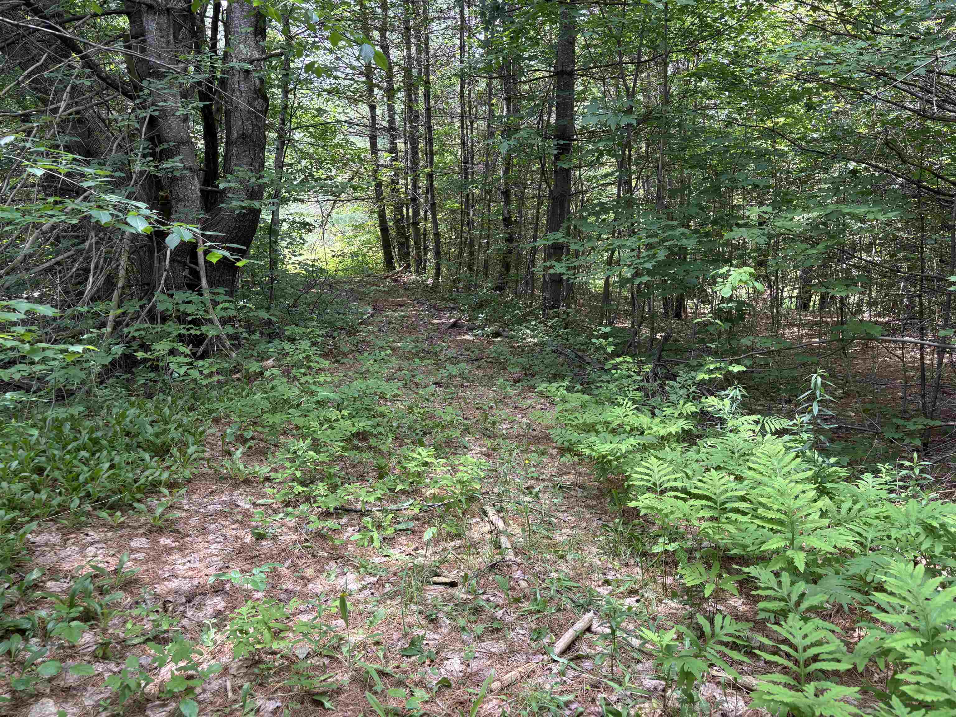 0 Simonsville Road, Unit LOT 3 Andover, VT 05143 - Photo 24 of 27