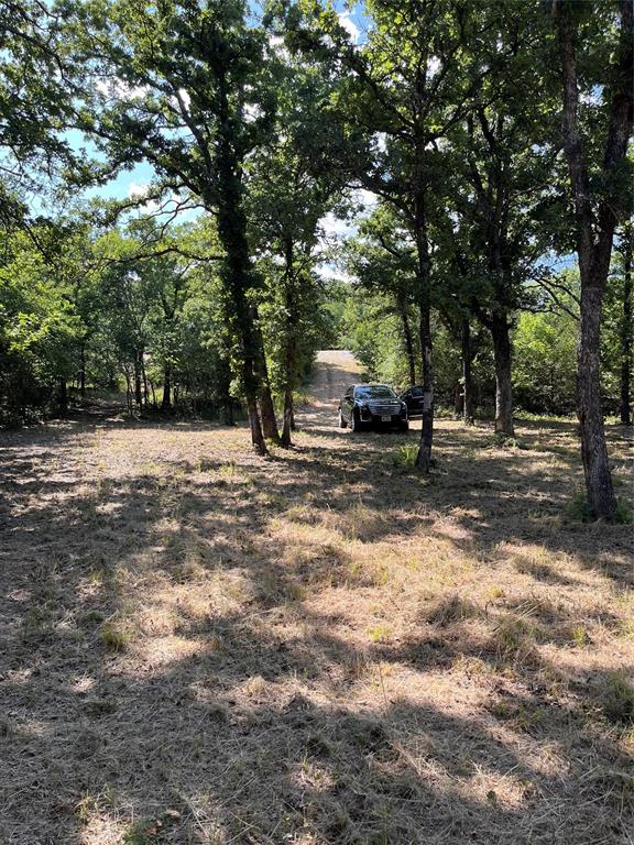 381 Ranchview Court Bowie, TX 76230 - Photo 5 of 7 Heavily wooded property featuring mature trees and a cleared understory
