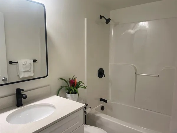 a bathroom with a sink a mirror a potted plant and a bathtub