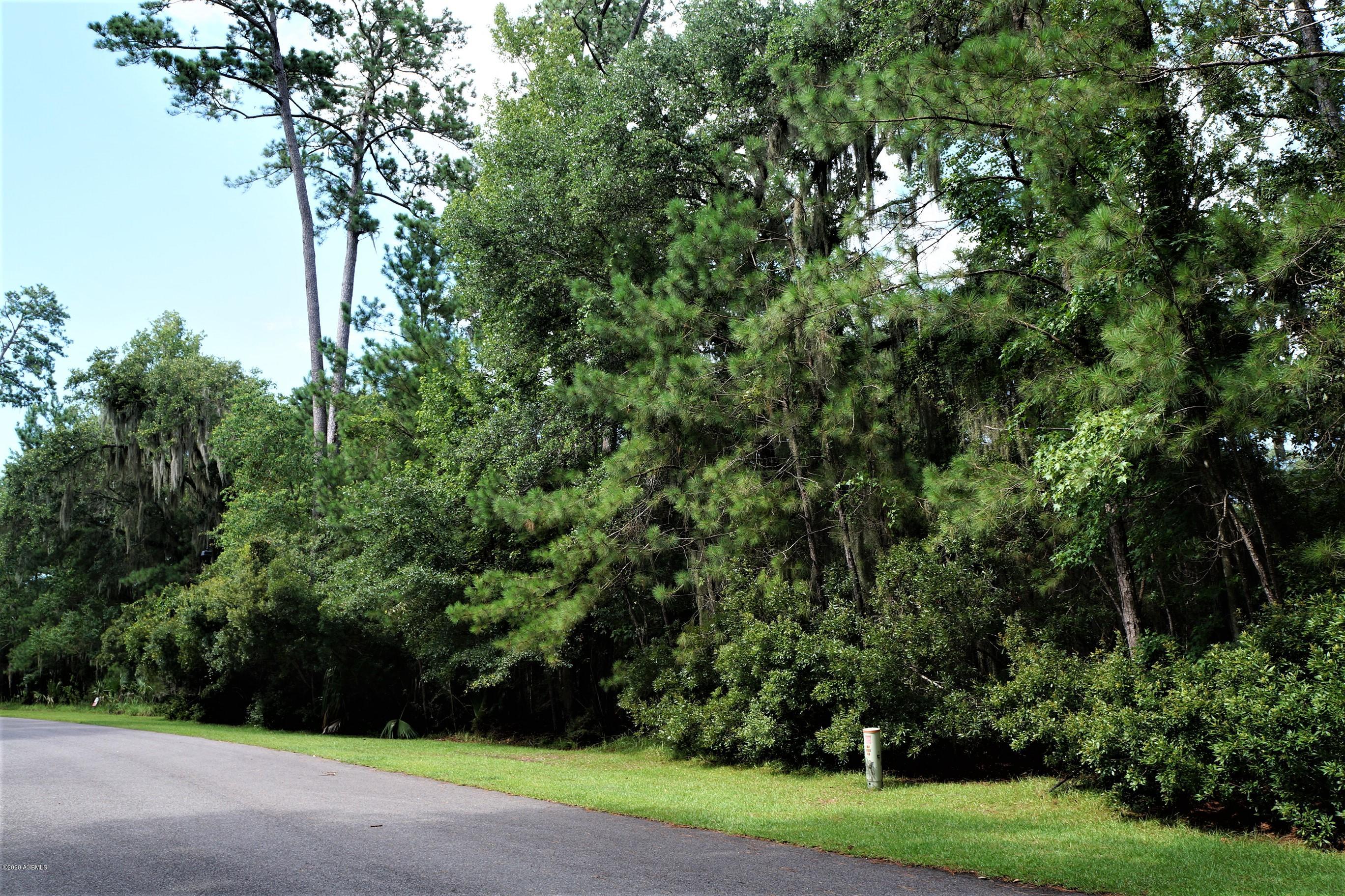 18 Broadview Drive Ridgeland, SC 29936 - Photo 1 of 13 DSC08834