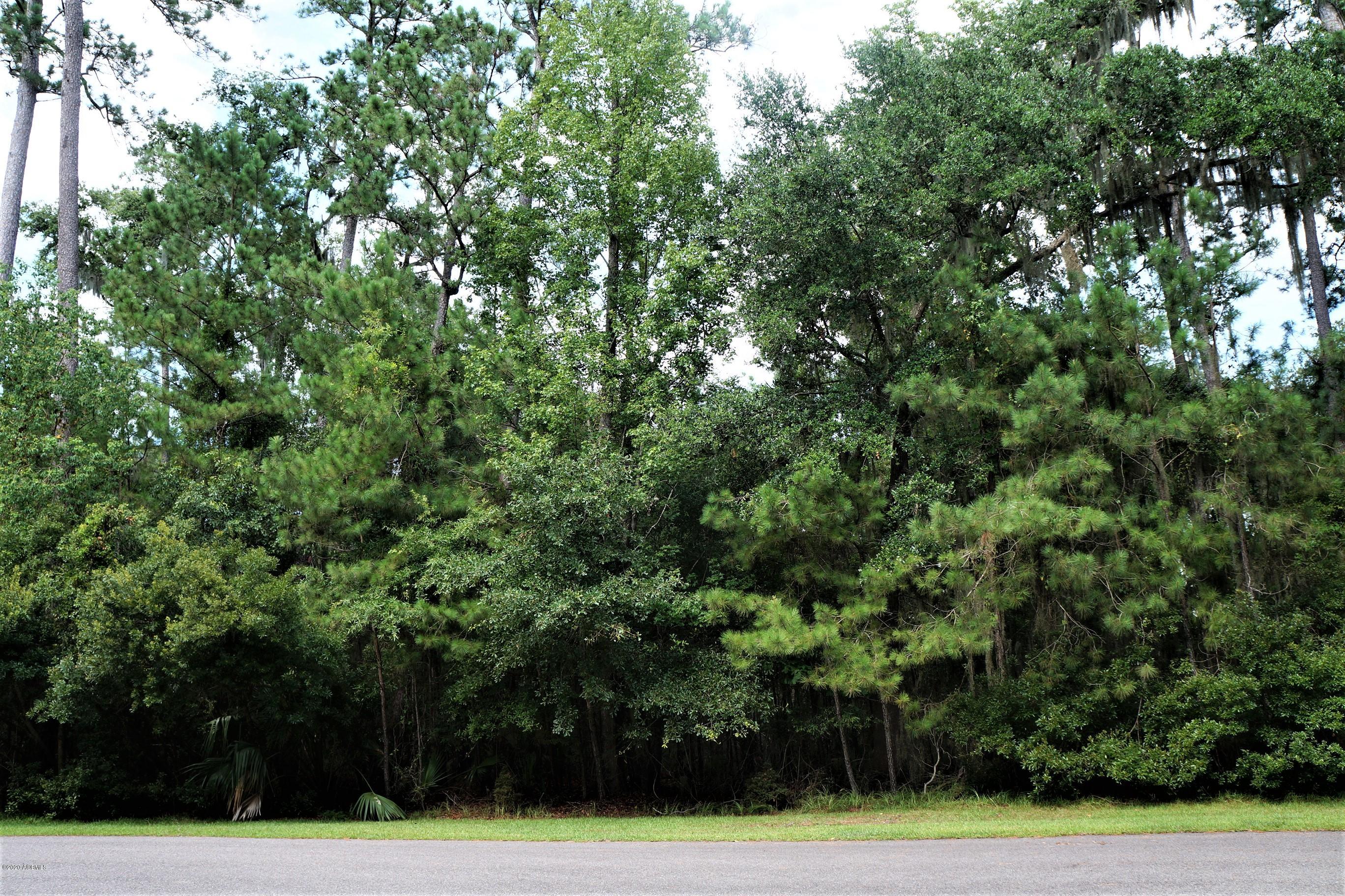 18 Broadview Drive Ridgeland, SC 29936 - Photo 2 of 13 DSC08835